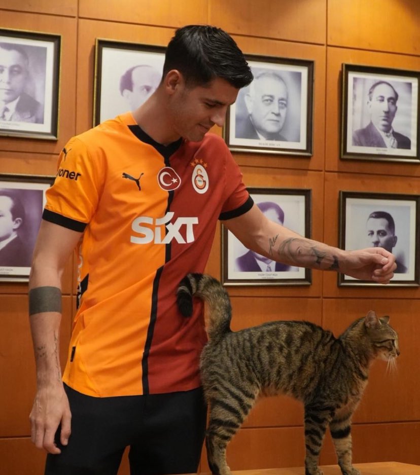 PAMUKK GİBİ OLDUMMMM COOK TATLII  BİR BEY🥹🥹🤏🏼🤏🏼