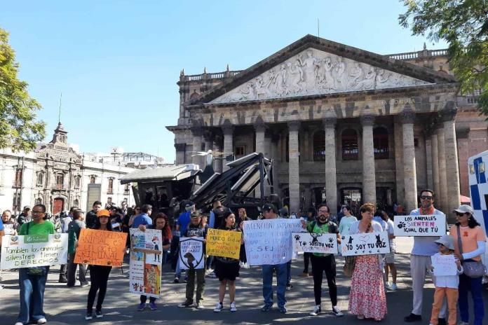 Con la iniciativa ciudadana Bienestar Animal Jalisco, activistas buscan promover el respeto y la protección de los animales.
Por <a href="/LizOrtizTapia/">Elizabeth Ortiz</a> 👇
udgtv.com/noticias/activ…