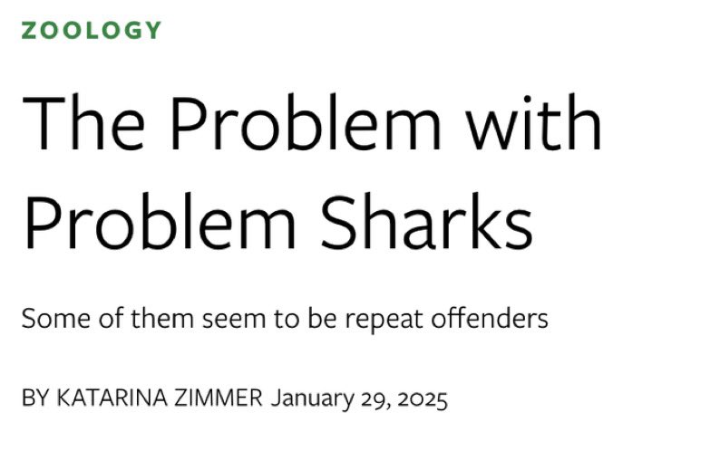 1% of sharks cause 90% of shark crimes but the woke coast guard refuses to arrest them