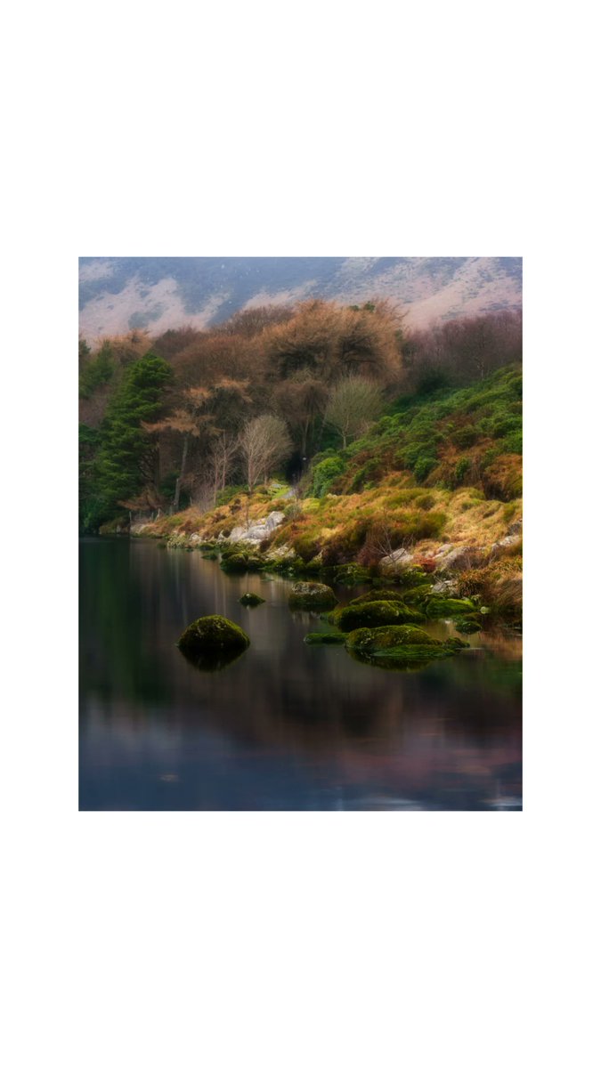 all the ways you wander tweet media