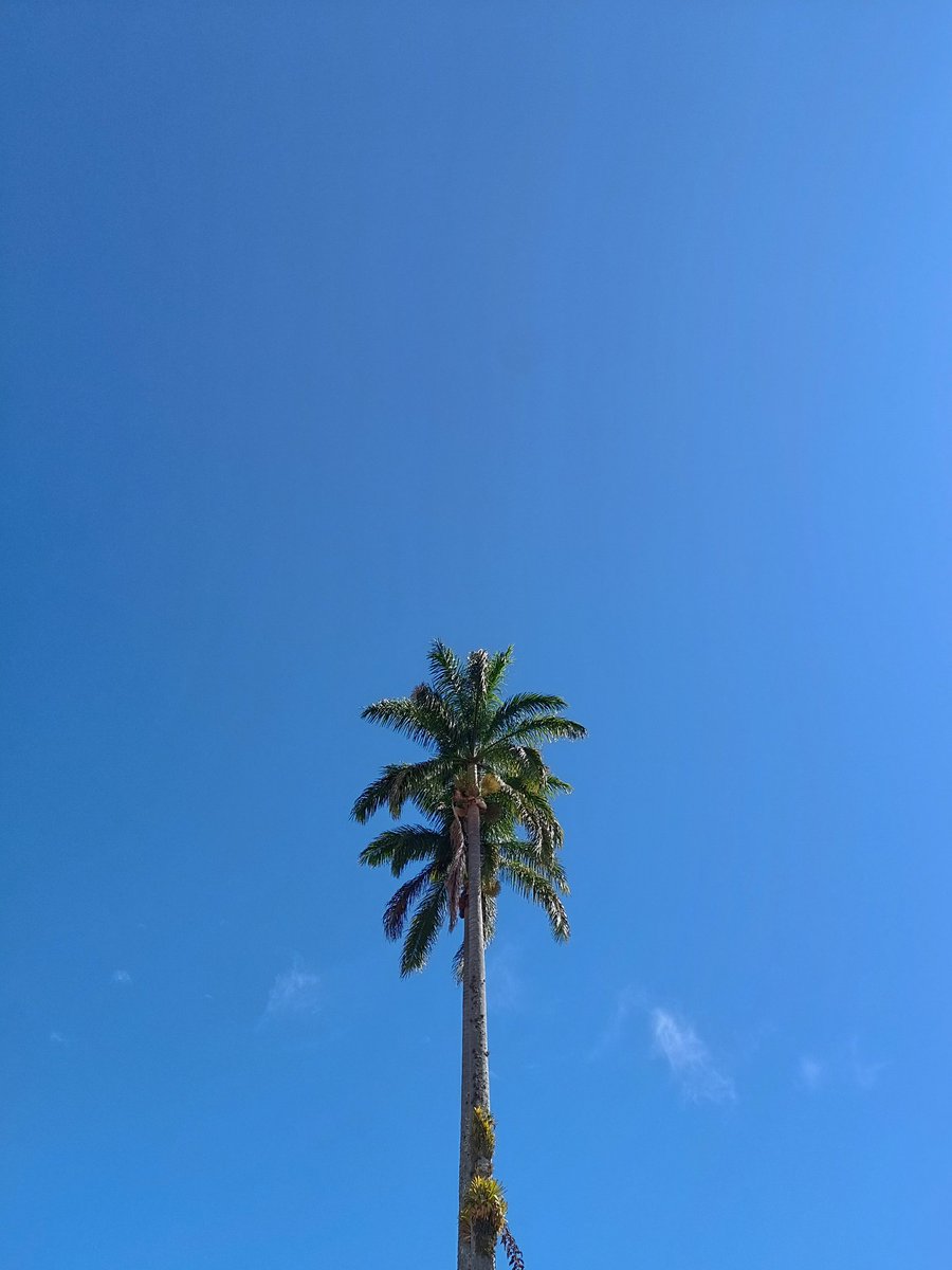 nitanloco_'s tweet image. «No sigo religiones,
ni a hombres vanidosos,
ni caminos señalizados.

Solo sigo al azul».

— Alberto Piernas Medina

#VSCO #vscocam #nature #blueisthecolour #love