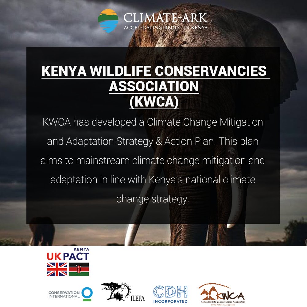 ClimateARK's tweet photo. KWCA recognizes that conservancies play a crucial role in promoting wildlife stewardship and custodianship by local communities, which can help sequester carbon emissions and diversify livelihoods. @ConservationOrg @ilepa2 @KWCAKenya @CDHLegal #KWCA #consernancies #climatekenya https://t.co/zbT6jD2Spl