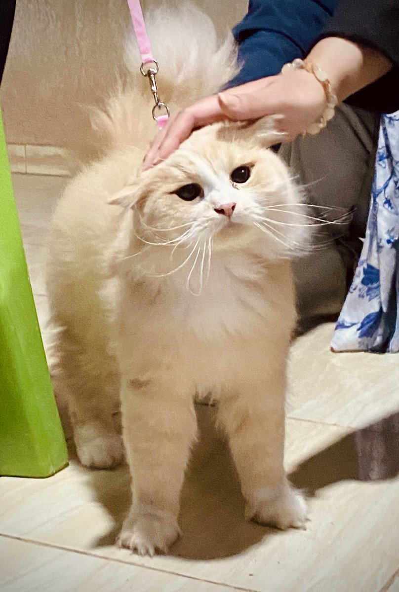 May be in another life ?