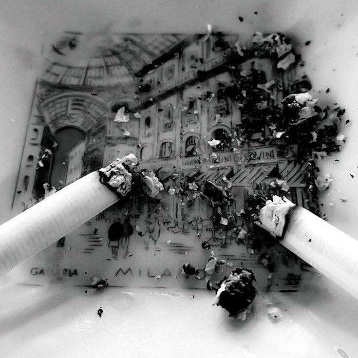 elitevanite's tweet image. 