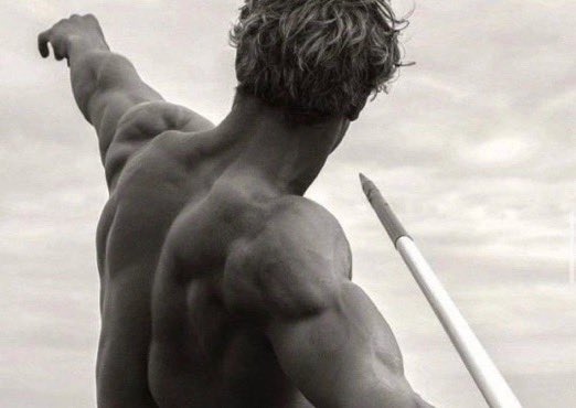 Vittorio tweet media