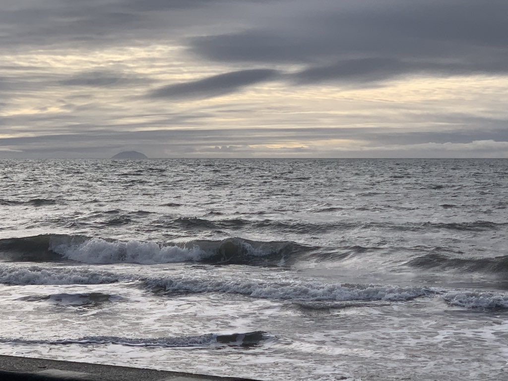 Susanne Driffield tweet media