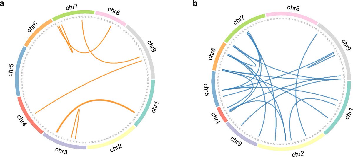 TheorApplGenet's tweet photo. QTL mapping and RNA-seq of RIL populations reveals consistent QTL and candidate genes for bristle length in foxtail millet.

 https://t.co/4KLp3DZ4HG https://t.co/wRNa3TtFGa