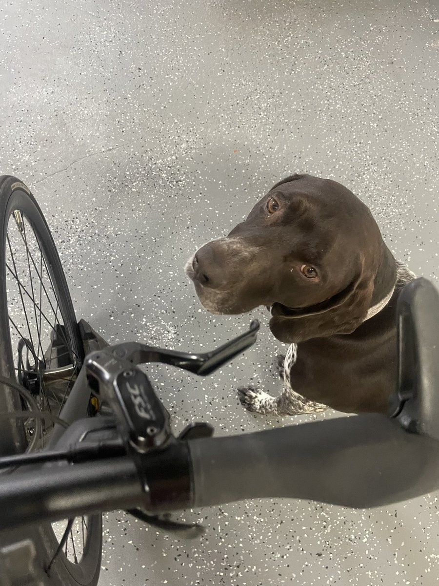 Thomas Stoll tweet media