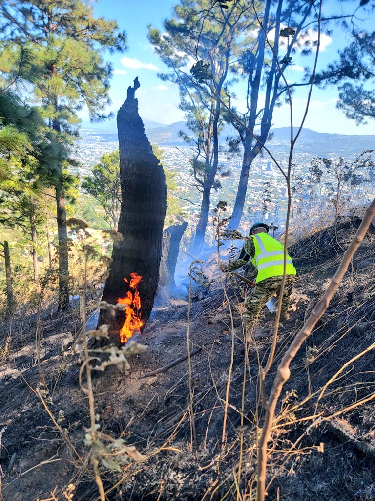 FUERZARMADASV's tweet photo. En apoyo a @BomberosSv, por tierra y aire, llevamos a cabo tareas de sofocación de incendio en el sector Norte de la colonia Escalón, en el Volcán de San Salvador.

#Seguimos https://t.co/pGLP6e3CPf