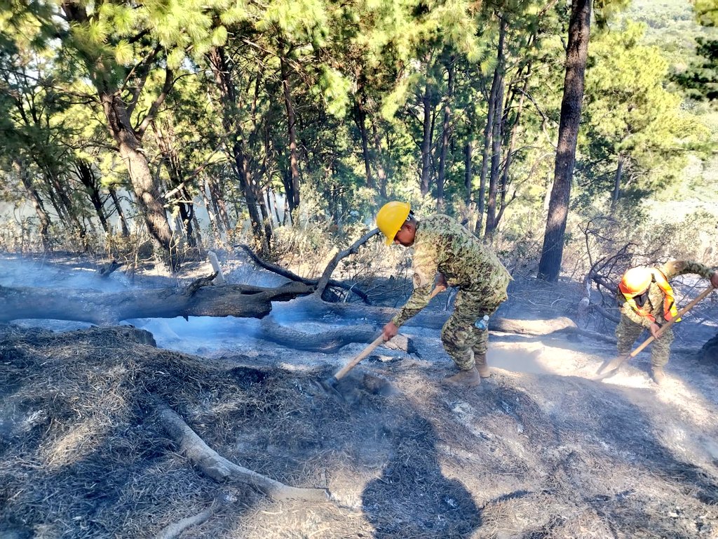 FUERZARMADASV's tweet photo. En apoyo a @BomberosSv, por tierra y aire, llevamos a cabo tareas de sofocación de incendio en el sector Norte de la colonia Escalón, en el Volcán de San Salvador.

#Seguimos https://t.co/pGLP6e3CPf