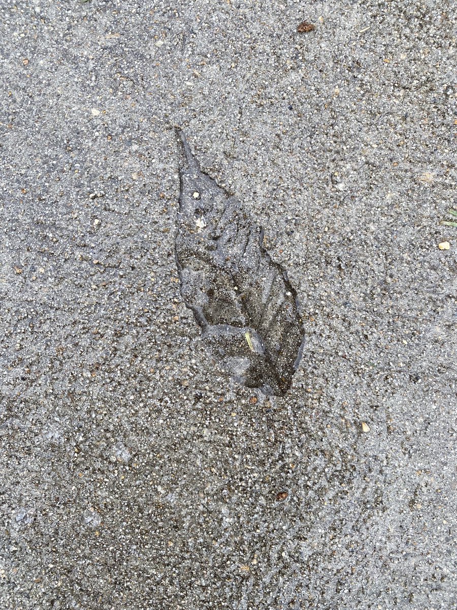 Damn bro don’t do this to me