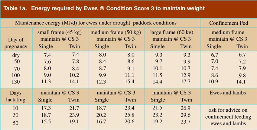 Geoff Minchin 🇦🇺 tweet media