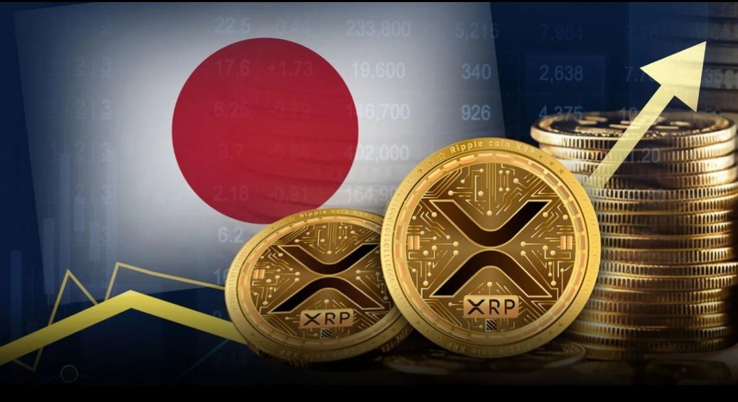 trump X coin tweet media