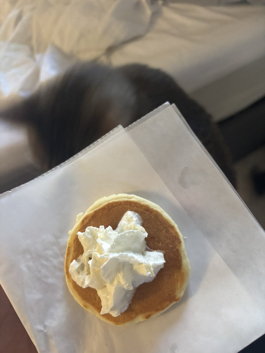 davisdtd's tweet photo. he wants my little pancake https://t.co/PCVdqBAgFW