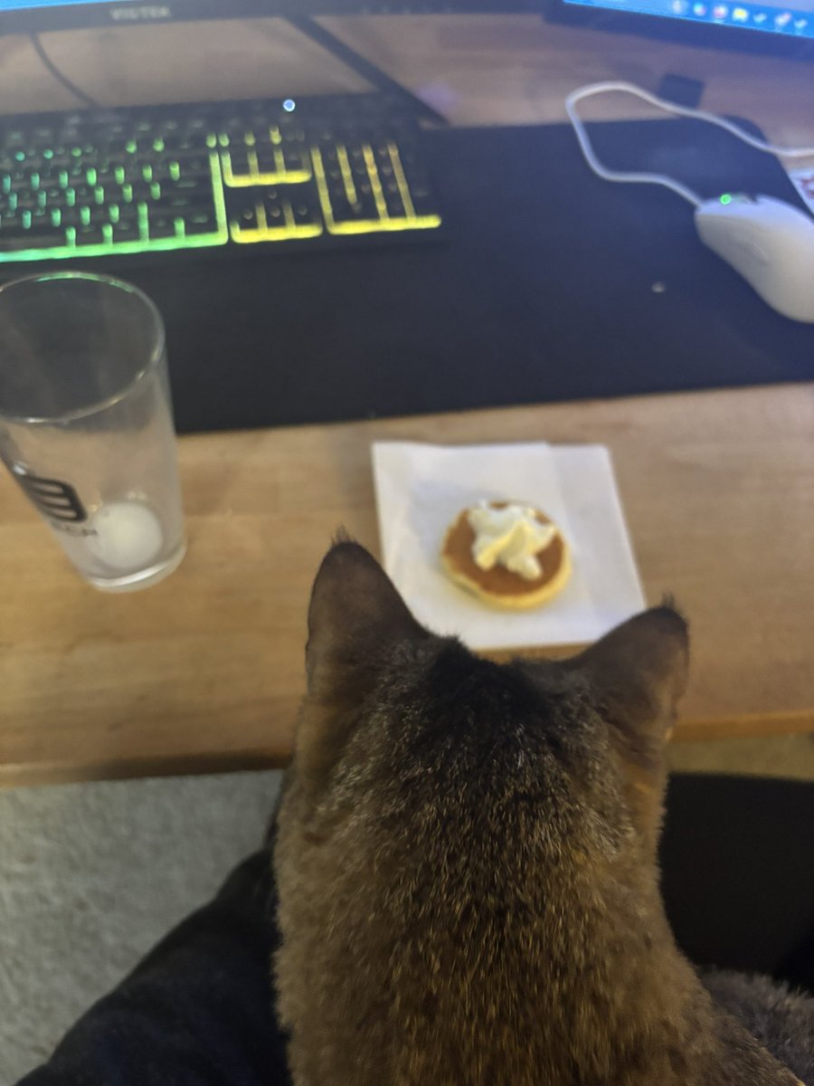 davisdtd's tweet photo. he wants my little pancake https://t.co/PCVdqBAgFW