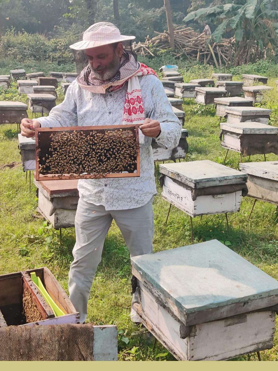 🍯FaBA🐝 फाबा tweet media