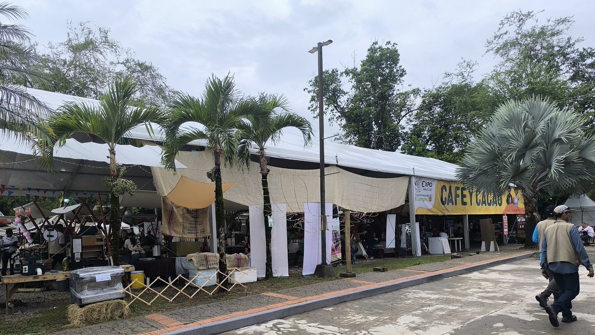 Draupady_06's tweet photo. En #expomalocas2025 Café ☕ y Cacao https://t.co/yJdufeY8YJ