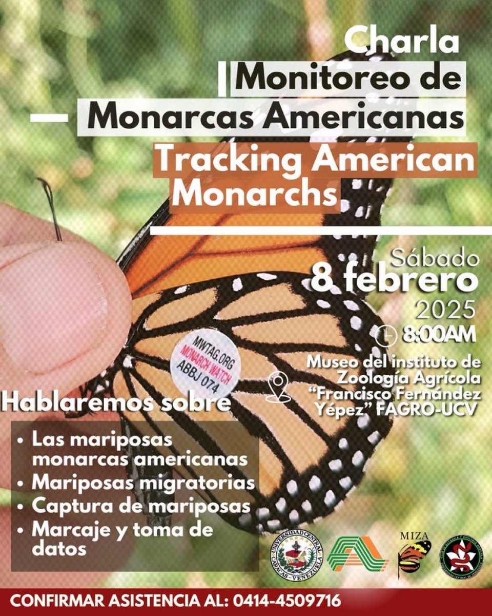 Invitación👇🏻👀<a href="/MIZAUCV/">MIZA-UCV</a>