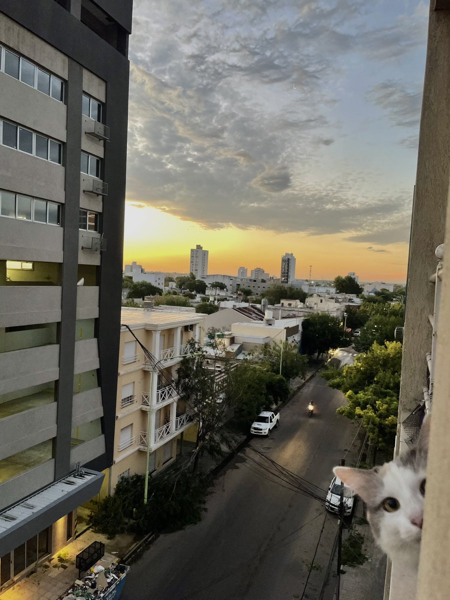se me dio por sentarme en el balcón a ver el cielo y tenia a alguien espiándome