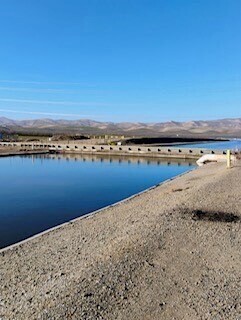 Commentary Donald J. Trump Posts From Truth Social tweet media