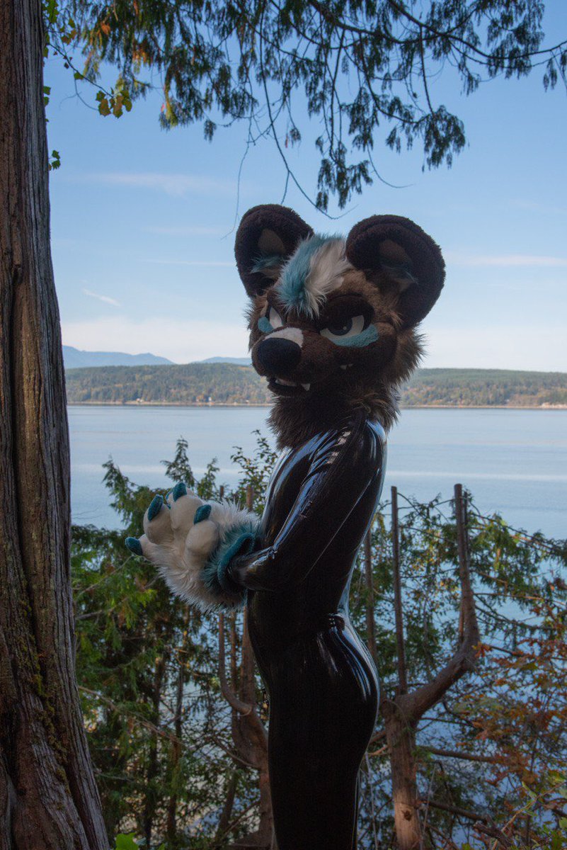 I am starting a collection…

🐶 <a href="/ChinookTheWolf/">dashie~ 🔜 Feral, Furvana, COG</a> 
🐶 <a href="/Yeener_Peener/">Jay ❤️‍🔥</a> 
🐶 <a href="/m4thBanana/">math 🔜 mp</a>