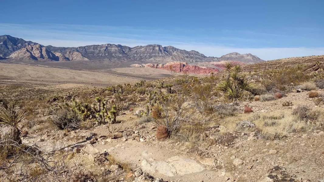 Went hiking. Now more writing.