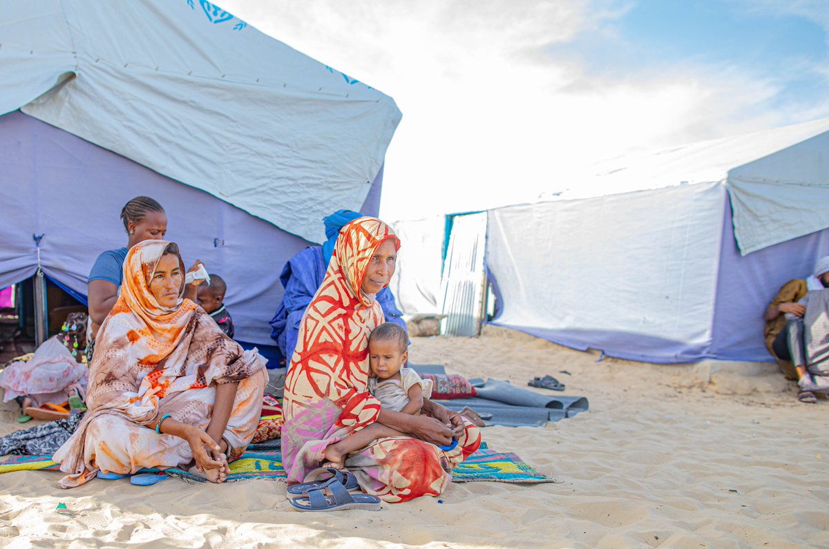 OCHA_Mali's tweet photo. #Mali
La hausse des déplacements liés aux conflits a engendré une augmentation du nombre de personnes en besoin d'abris et de biens non alimentaires #ABNA
Cette année, les partenaires de ce secteur envisagent d'apporter une aide à 800 000 pers.
@OCHAROWCA
https://t.co/E6KVGCwltK https://t.co/IjbFS2A8Zs