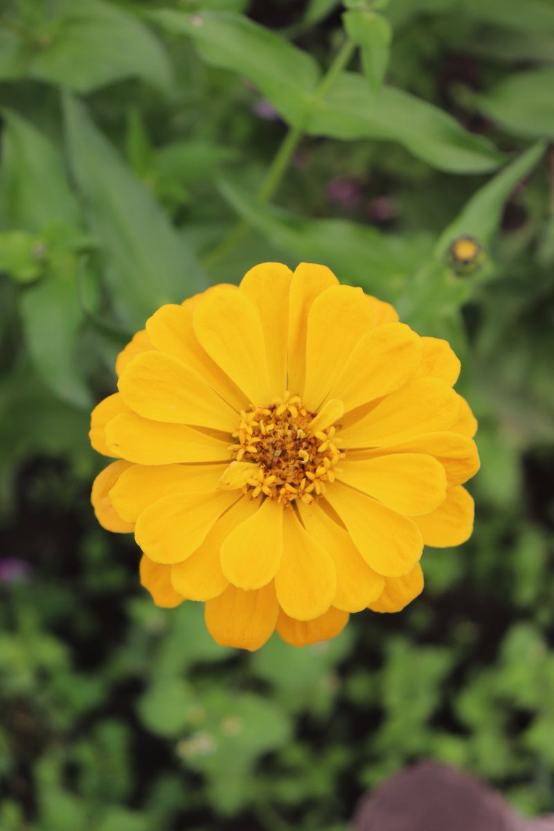 皆さん
おはようございます
2月3日今日は立春です
まだまだ寒い日が
ありますけど
体調崩さない様に
過ごして下さいね