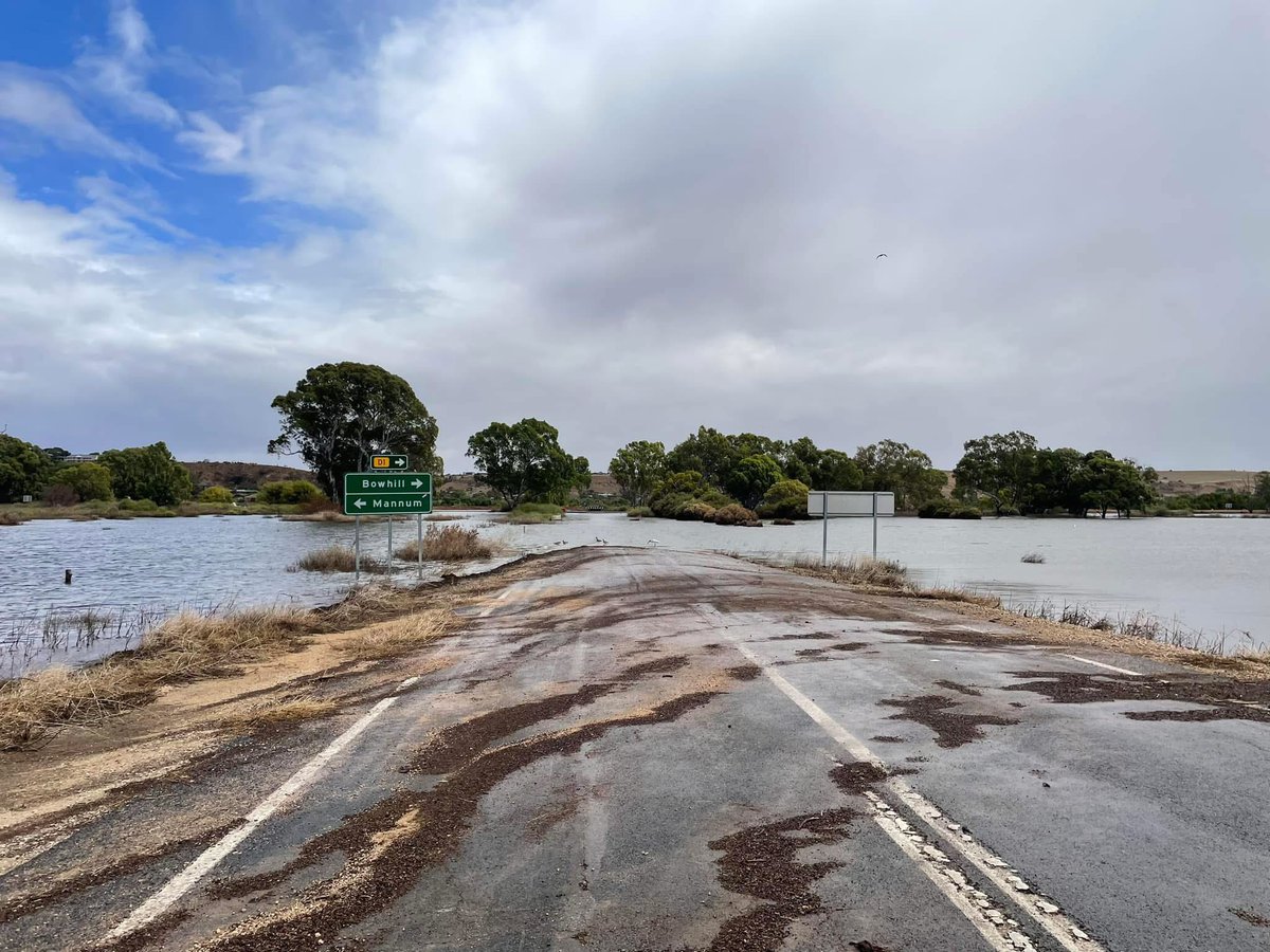 HowdyLauren's tweet photo. Two years ago! Now this area is in drought and hasnโt seen rain since December.
#murraylands #southaustralia #rivermurray https://t.co/NWE1DF61hu