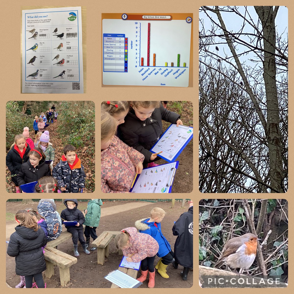 We have been taking part in the Big Schools' Birdwatch.  First we made bird feeders to encourage birds into our school grounds.  Next we used tens frames to count the number of different birds that we found.  Finally we created birds from natural materials.