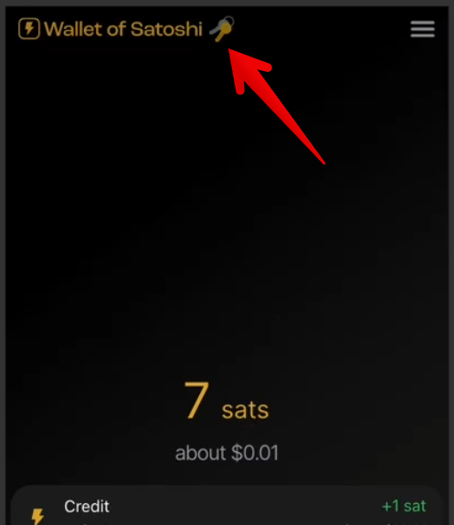 Wallet of Satoshi tweet media