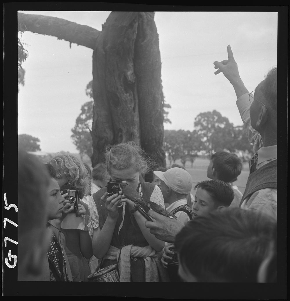 PRO_Vic's tweet image. School's back in full swing! 

📸 #Ormond and Central School #Caulfield North students on a school excursion in the bush, pre-1970s, VPRS 14517/P0001/16.
