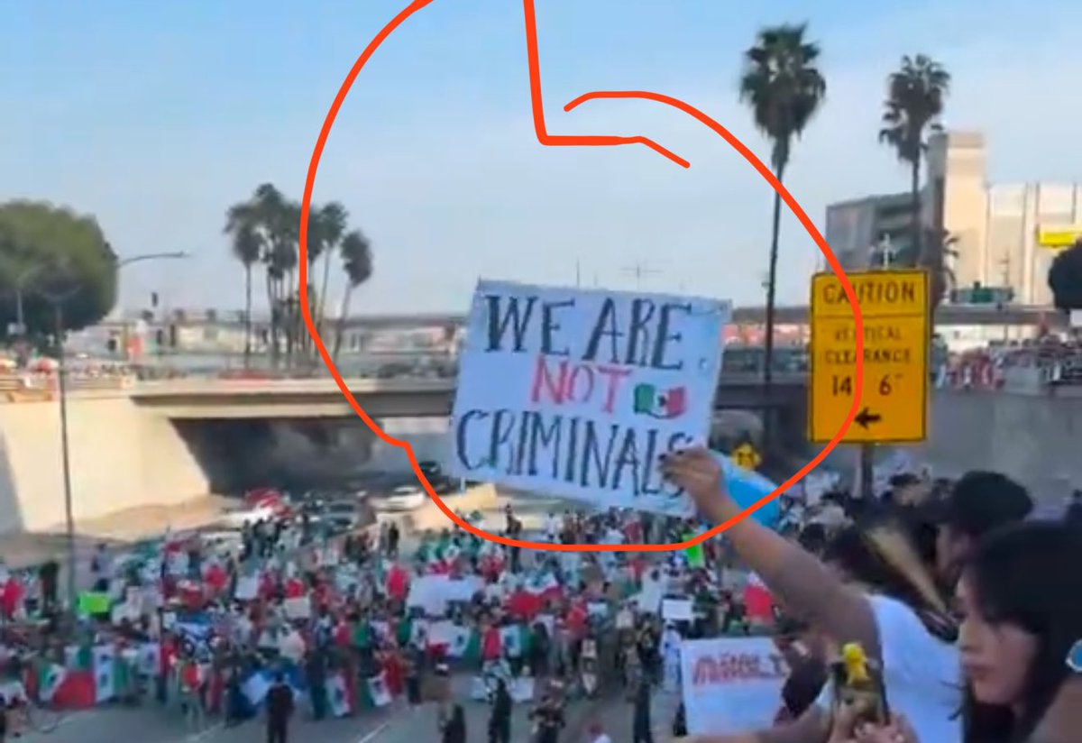 OscarEnjoylife's tweet photo. @rawsalerts Blocking a highway is a crime but they hold a sign saying we are not criminals https://t.co/DfzHCoSdIs