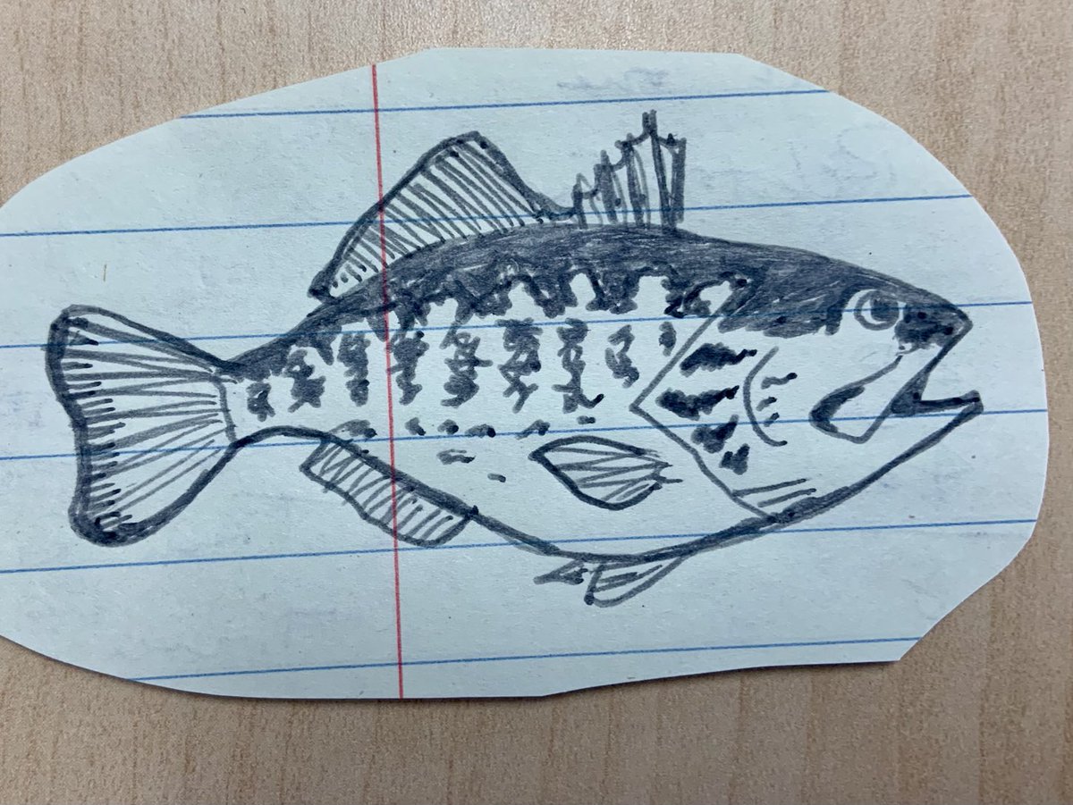 calfishingOG's tweet photo. Daily doodle 2/2/2025 https://t.co/r8aZ0cAfw1