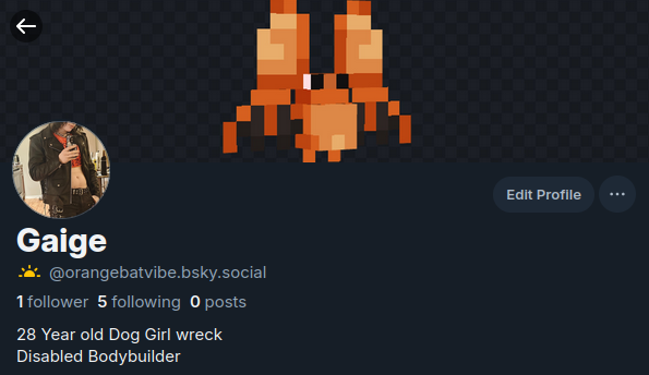 orangebatvibe's tweet photo. uhhh something something i might be on another social media now fuck it https://t.co/xTx7eC4nOj