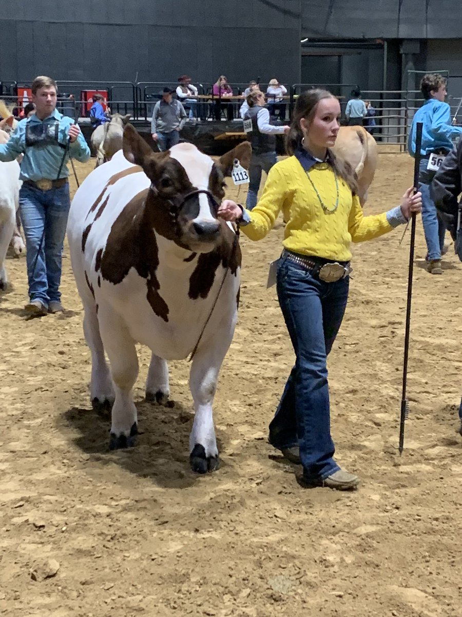 CalhounCoExt's tweet image. Congratulations to Jillian on an outstanding day at the Dixie National Jr. Round-Up. Jillian placed 2nd with her American Steer, Reserve American Steer, qualifying for the Dixie National Sale of Jr. Champions, MS Bred Reserve Champion, 5th European Steer, and 6th  English Steer.