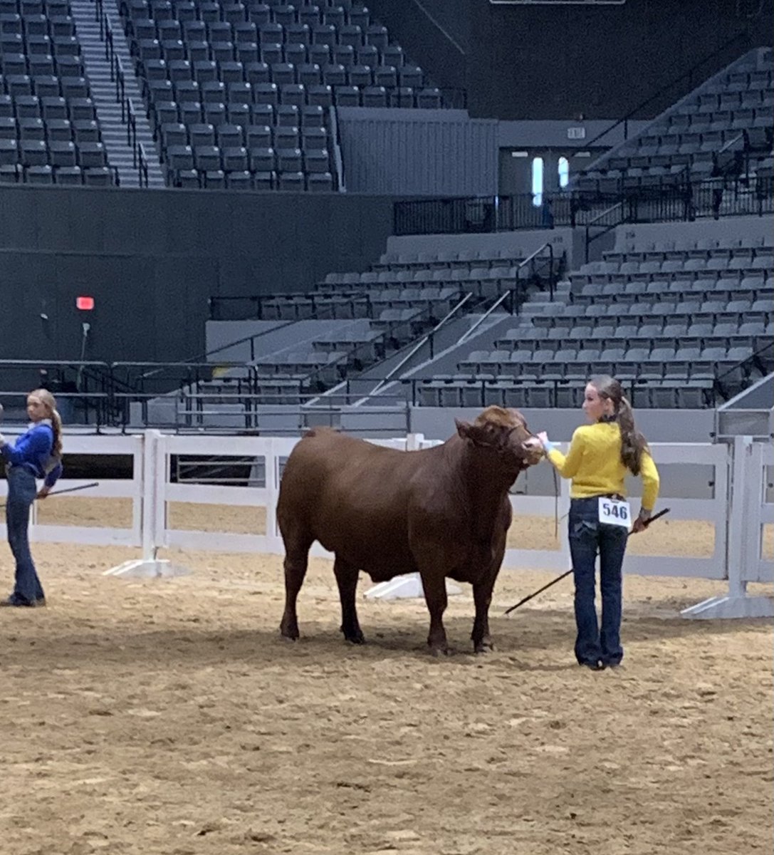 CalhounCoExt's tweet image. Congratulations to Jillian on an outstanding day at the Dixie National Jr. Round-Up. Jillian placed 2nd with her American Steer, Reserve American Steer, qualifying for the Dixie National Sale of Jr. Champions, MS Bred Reserve Champion, 5th European Steer, and 6th  English Steer.
