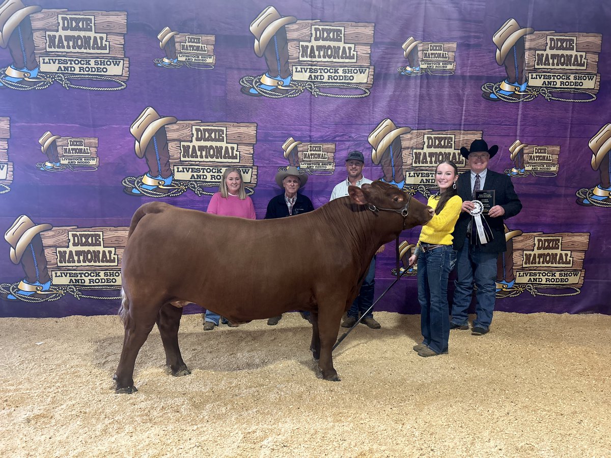 CalhounCoExt's tweet image. Congratulations to Jillian on an outstanding day at the Dixie National Jr. Round-Up. Jillian placed 2nd with her American Steer, Reserve American Steer, qualifying for the Dixie National Sale of Jr. Champions, MS Bred Reserve Champion, 5th European Steer, and 6th  English Steer.