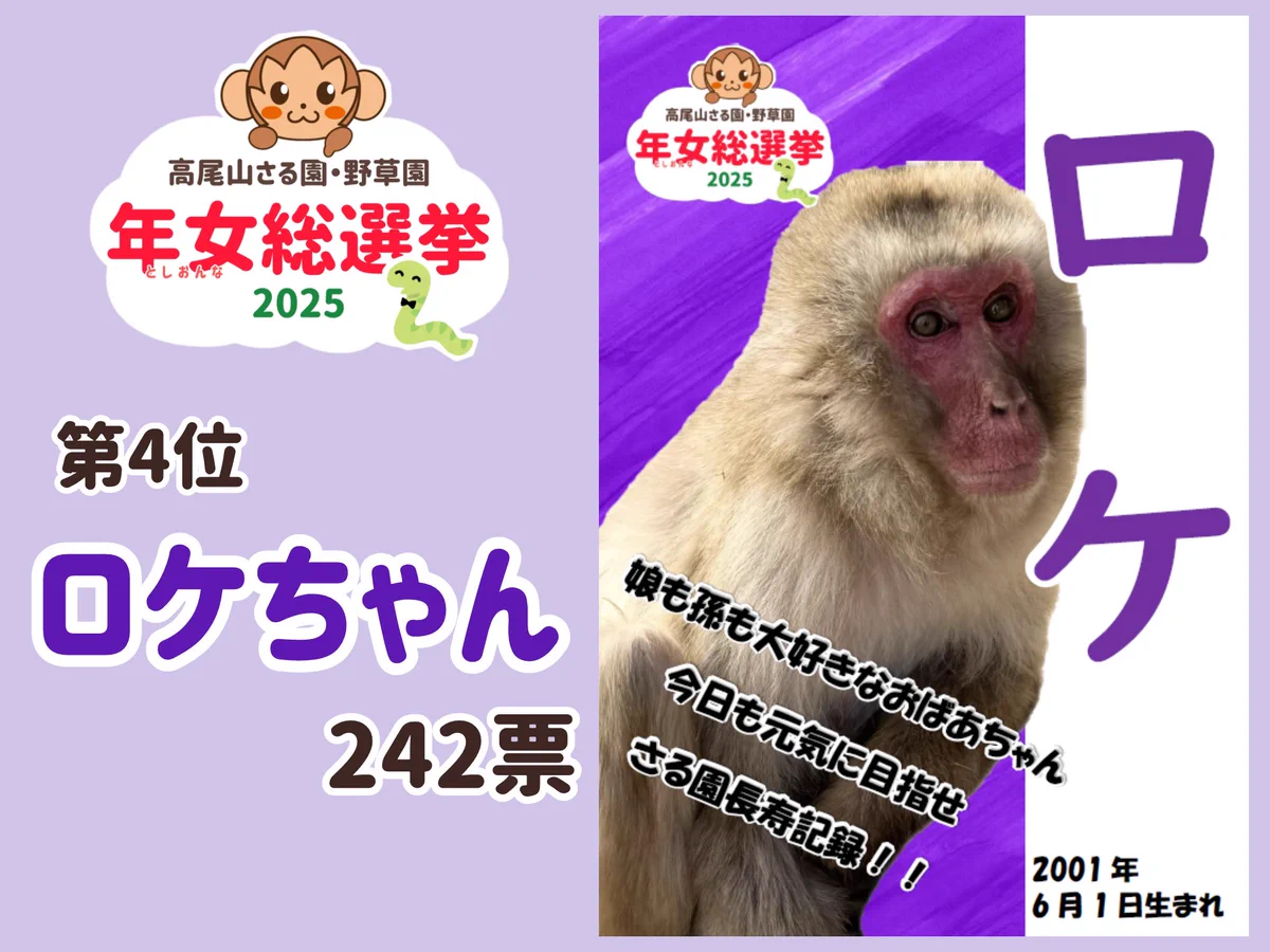 高尾山さる園・野草園【公式】 na platformě X: „🐍年女総選挙2025