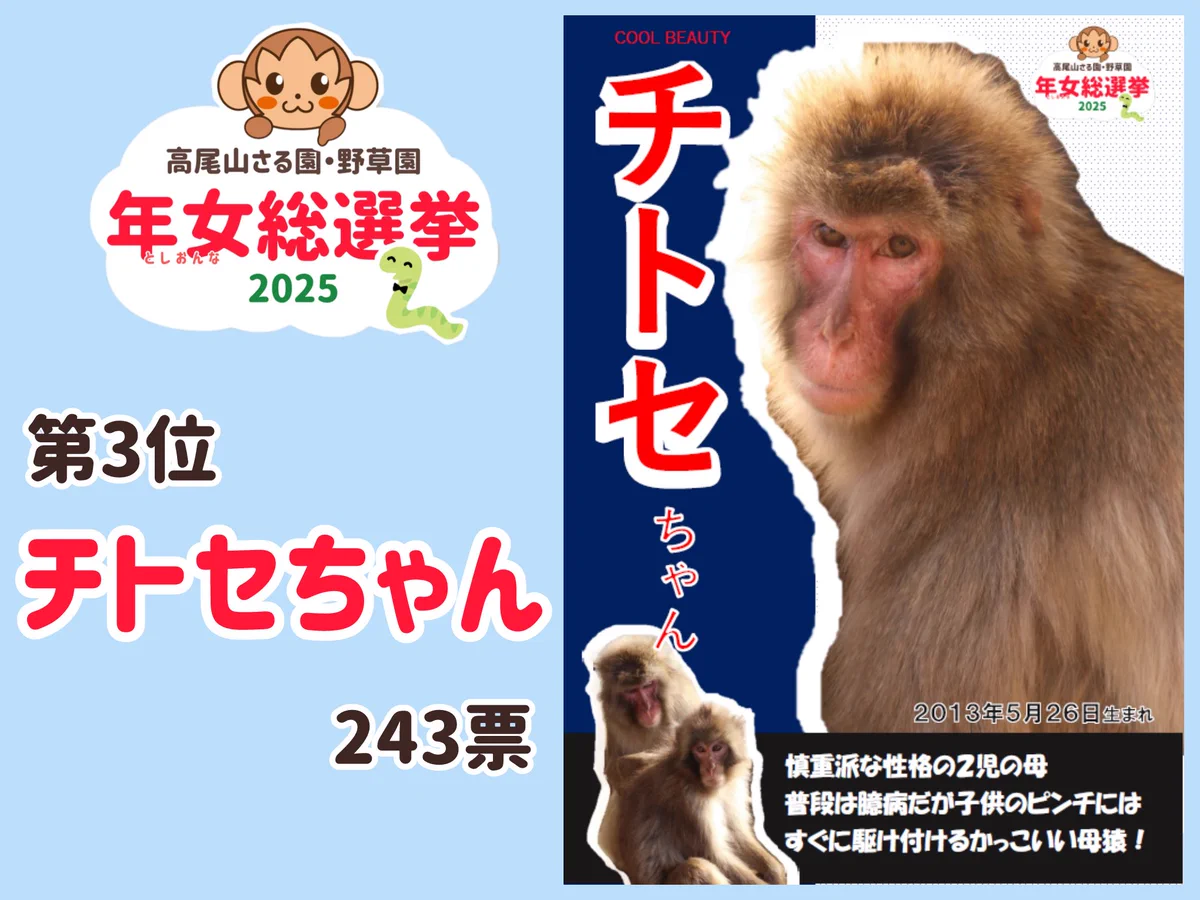 高尾山さる園・野草園【公式】 na platformě X: „🐍年女総選挙2025