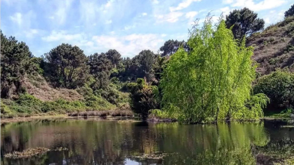 Día Mundial de los humedales: Red de Humedales del Biobío entrega su catastro anual
sabes.cl/2025/02/02/dia…