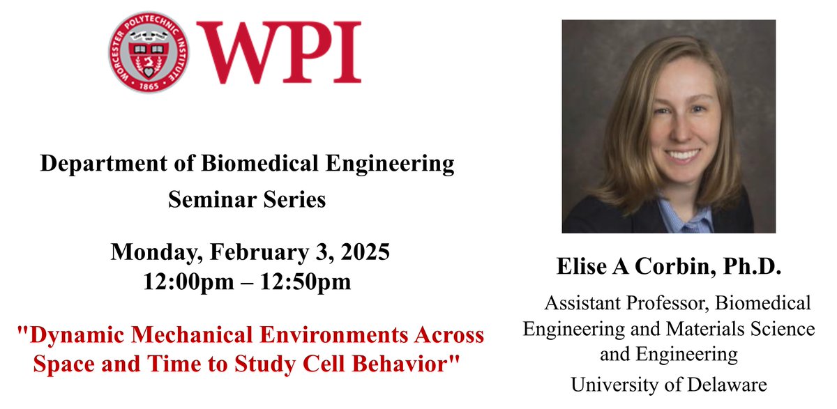 WPI Biomedical Engineering Department (@wpi_bme) on Twitter photo We welcome Dr. Elise Corbin from <a href="/udbme/">Biomedical Engineering @ UDEL</a> @udmse as our first speaker this spring! She will share how her team uses magnetorheological elastomers to study dynamic mechanical properties of cells and tissues within the context of biological processes in healthy and diseased states. We welcome Dr. Elise Corbin from <a href="/udbme/">Biomedical Engineering @ UDEL</a> @udmse as our first speaker this spring! She will share how her team uses magnetorheological elastomers to study dynamic mechanical properties of cells and tissues within the context of biological processes in healthy and diseased states.