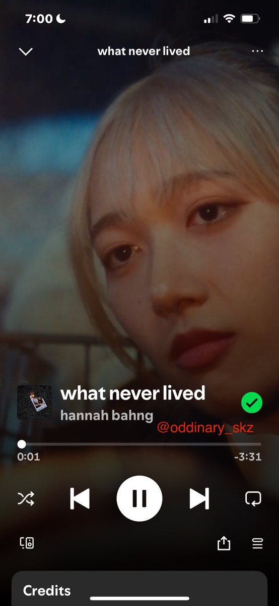oddinaryy_skz's tweet photo. #StreamWNL #whatneverlived #hannahbahng https://t.co/qRrlumpCKK