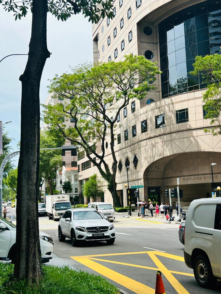 Heidygtd's tweet photo. A pleasant country with a clean environment, but you have to pay attention to its laws. #Singapore https://t.co/hqUK2xYUWY