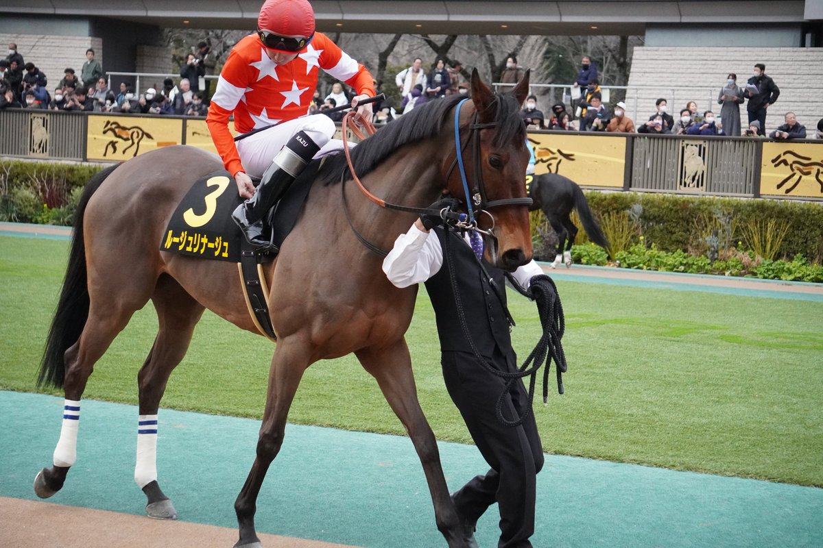 2014Standard's tweet photo. ラストランのルージュリナージュ
まだまだ現役で走って欲しかったよ https://t.co/KJrZJ8T0PP