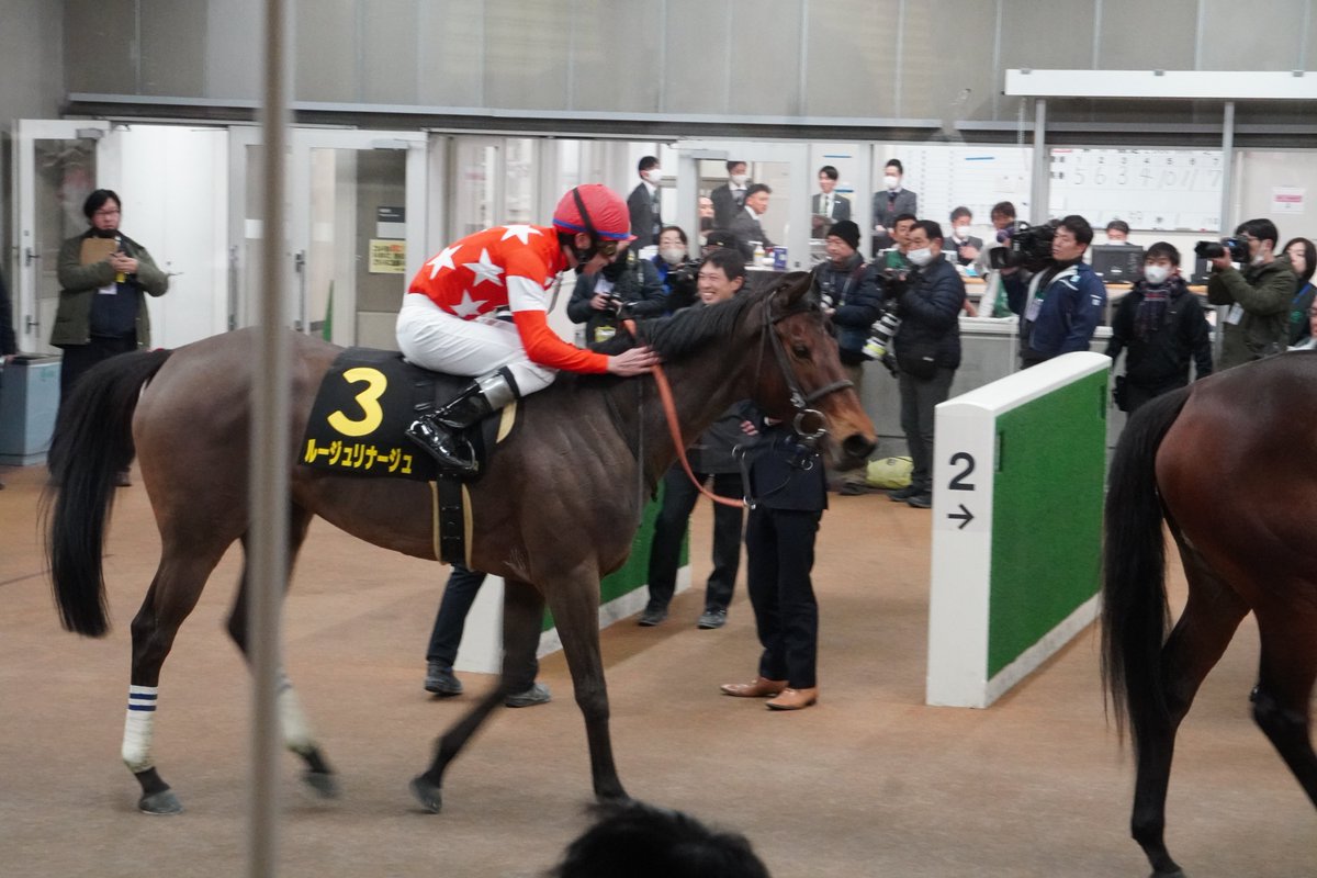 2014Standard's tweet photo. ラストランのルージュリナージュ
まだまだ現役で走って欲しかったよ https://t.co/KJrZJ8T0PP