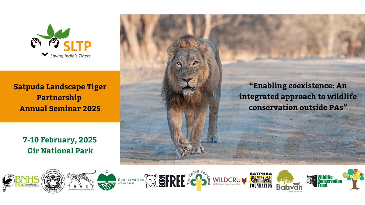 SLTP - Satpuda Landscape Tiger Partnership tweet media