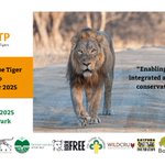 Photo by SLTP - Satpuda Landscape Tiger Partnership (@SLTPtigers)