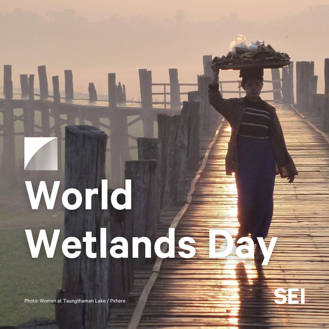 SEI_Asia's tweet photo. 🌱Caring for our #wetlands and its surrounding communities should not be mutually exclusive.

This study in #Myanmar shows that understanding their interaction is key to effective conservation strategies that support community livelihoods.

🔗 Learn more: https://t.co/SXRwkEQ1a6 https://t.co/xLM5nnxXDg