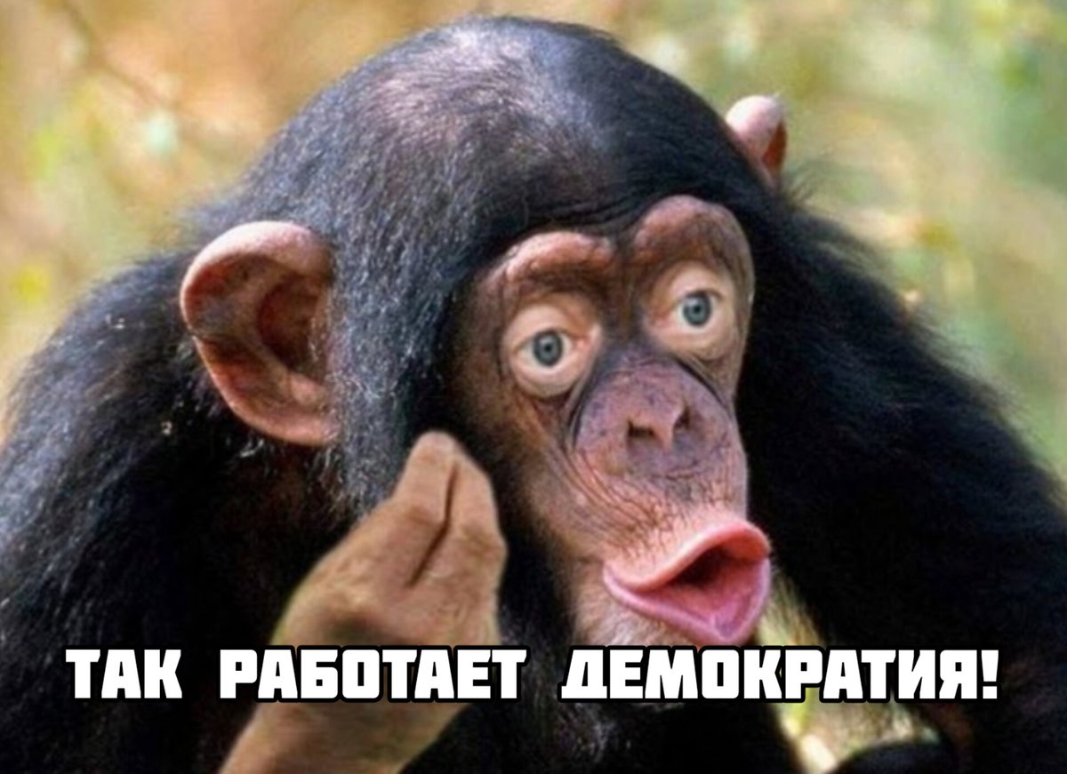 Landgraf75's tweet image. "Президент Панамы Хосе Рауль Мулино после переговоров с главой Госдепартамента США Марко Рубио заявил, что правительство страны не станет продлевать действие меморандума о взаимопонимании с Китаем по инициативе «Один пояс — один путь»."
kommersant.ru/doc/7477776